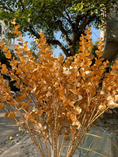 Cành Đồng Đủ Loại Trang Trí Giỏ Quà Tết