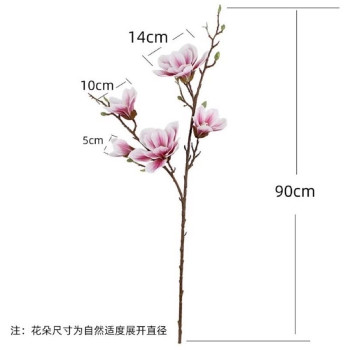 Cành mộc lan cổ 6 bông trang trí decor