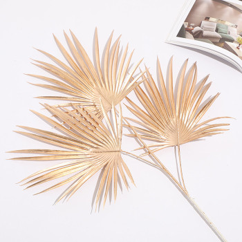 Cành cọ đồng trang trí decor